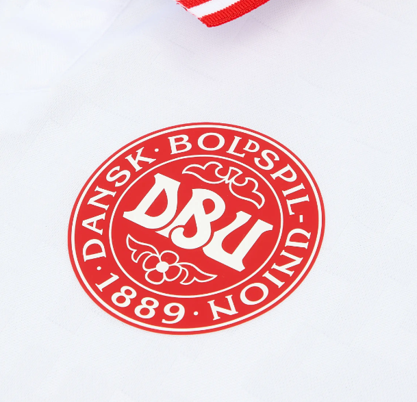 Denmark Euro Kit 2024