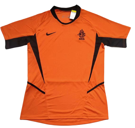 Netherlands misses World Cup 2002 